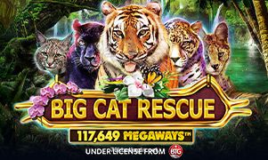 Big Cat Rescue Megaways jogo relacionado